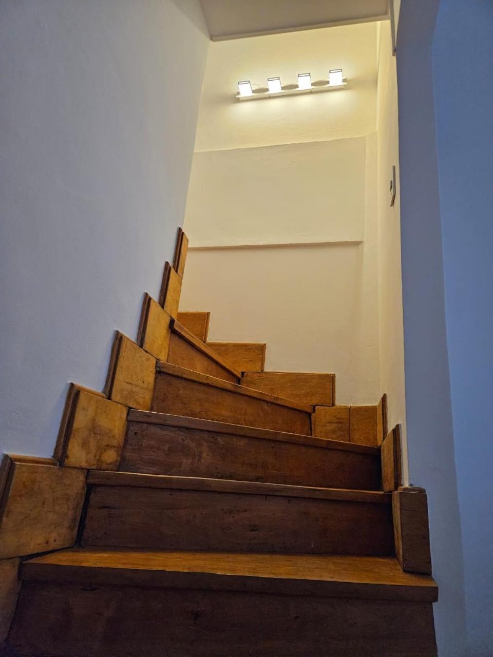 דירות אושואיה Departamento Centrico מראה חיצוני תמונה
